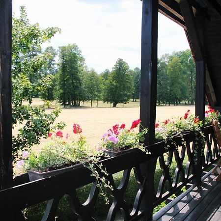 Landgasthof Zur Wildbahn ブルク エクステリア 写真