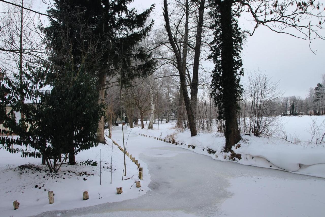 Landgasthof Zur Wildbahn ブルク エクステリア 写真